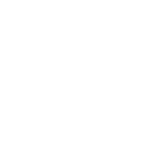 Made in Texas