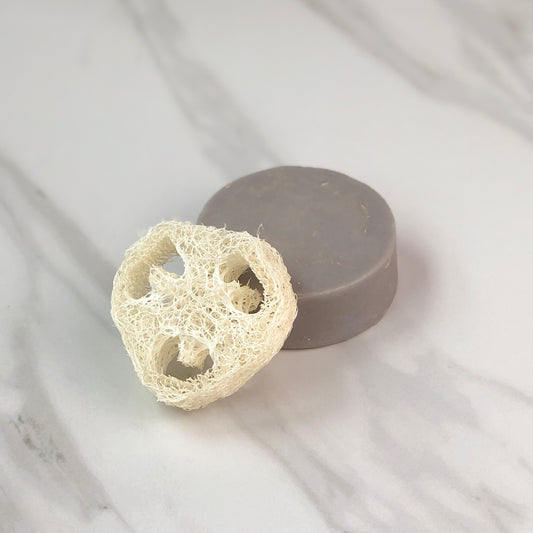 Alo Vera + Loofah Soap